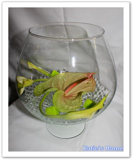 anthurium et callas